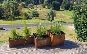 Chalet Les Vosgiennes